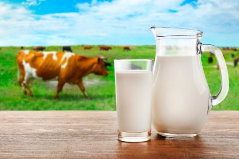 leche 2