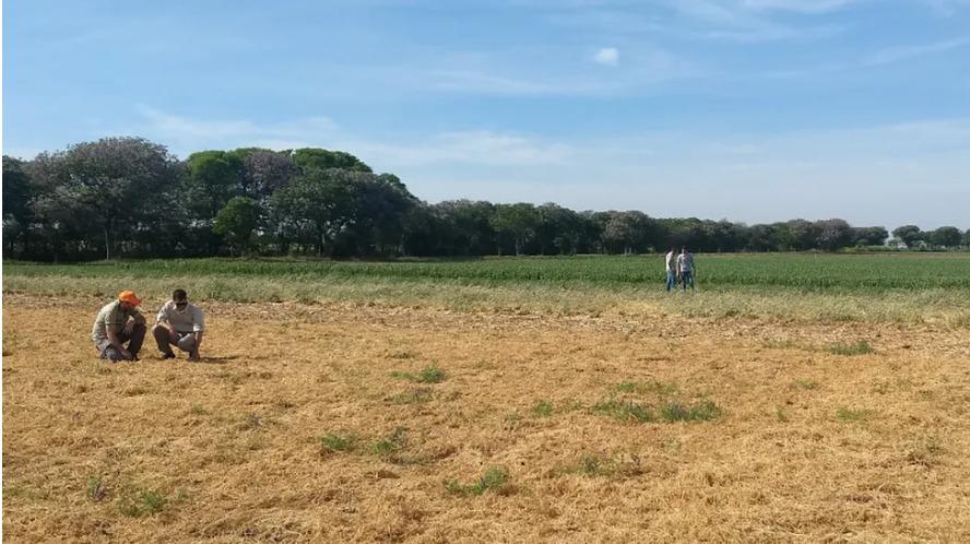 WhatsApp Image 2023-09-25 at 3.54.35 PM