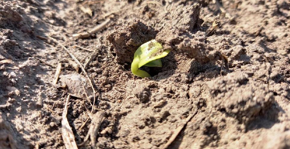 WhatsApp Image 2023-08-17 at 8.10.27 AM (1)