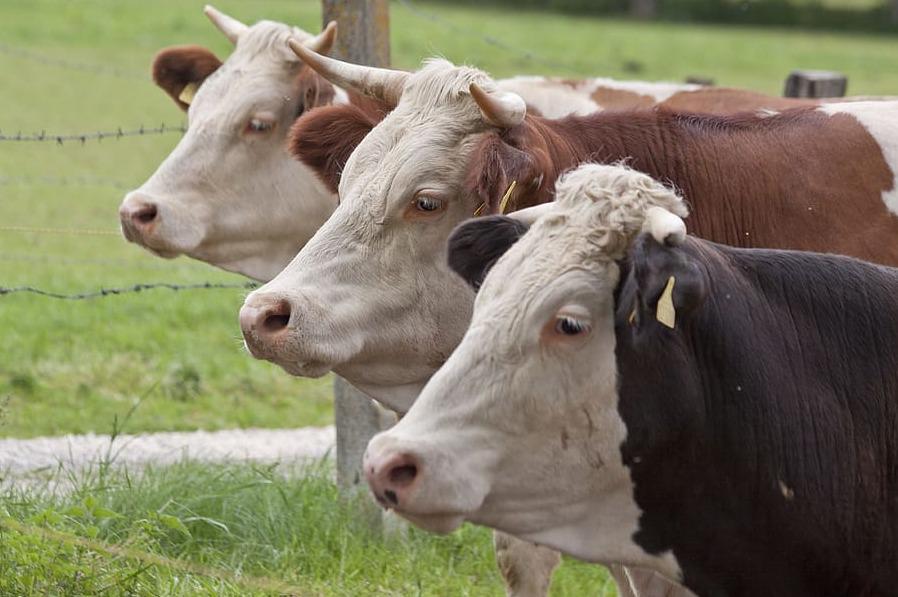 WhatsApp Image 2023-10-09 at 16.00.36