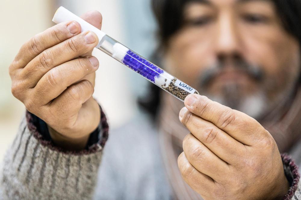 Leguminosas_PRODOCOVA_01