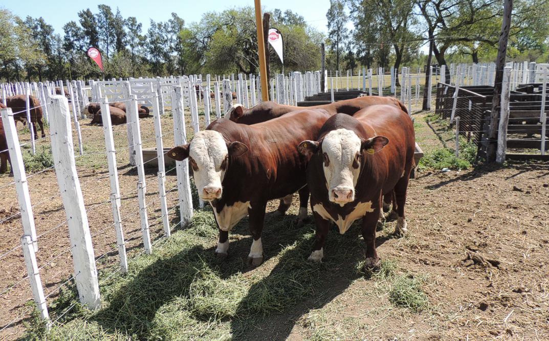 WhatsApp Image 2023-09-29 at 8.00.10 AM (1)