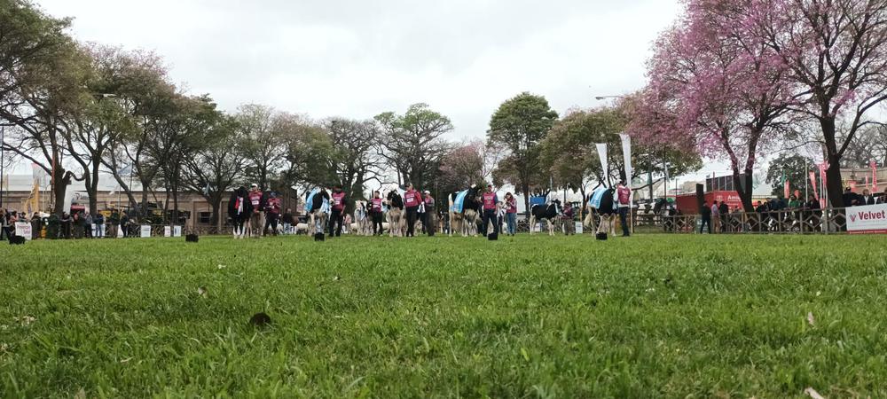 WhatsApp Image 2023-09-24 at 2.19.57 PM