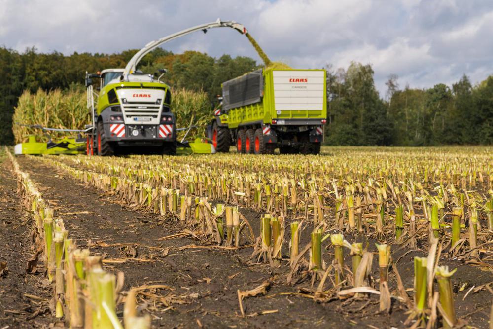 WhatsApp Image 2023-08-25 at 2.58.43 PM (1)