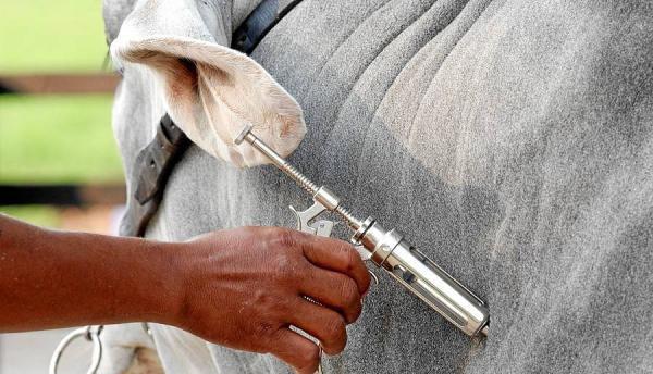 WhatsApp Image 2024-04-03 at 5.05.35 PM