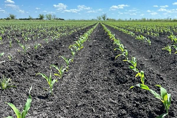 WhatsApp Image 2023-10-03 at 9.49.20 AM