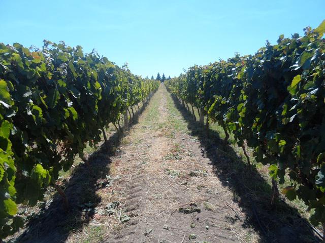 WhatsApp Image 2024-01-04 at 09.49.07