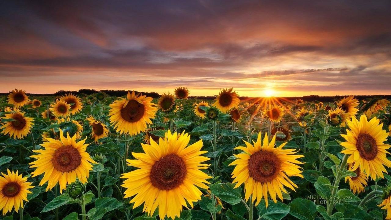 WhatsApp Image 2023-12-15 at 14.56.37