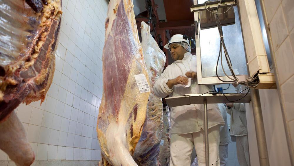 WhatsApp Image 2023-09-12 at 8.22.50 AM