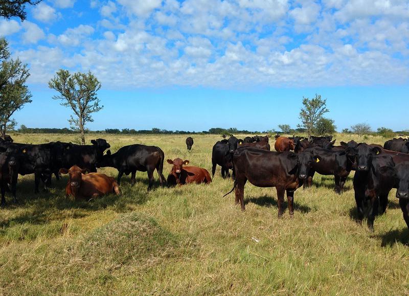 WhatsApp Image 2023-09-14 at 8.03.54 AM