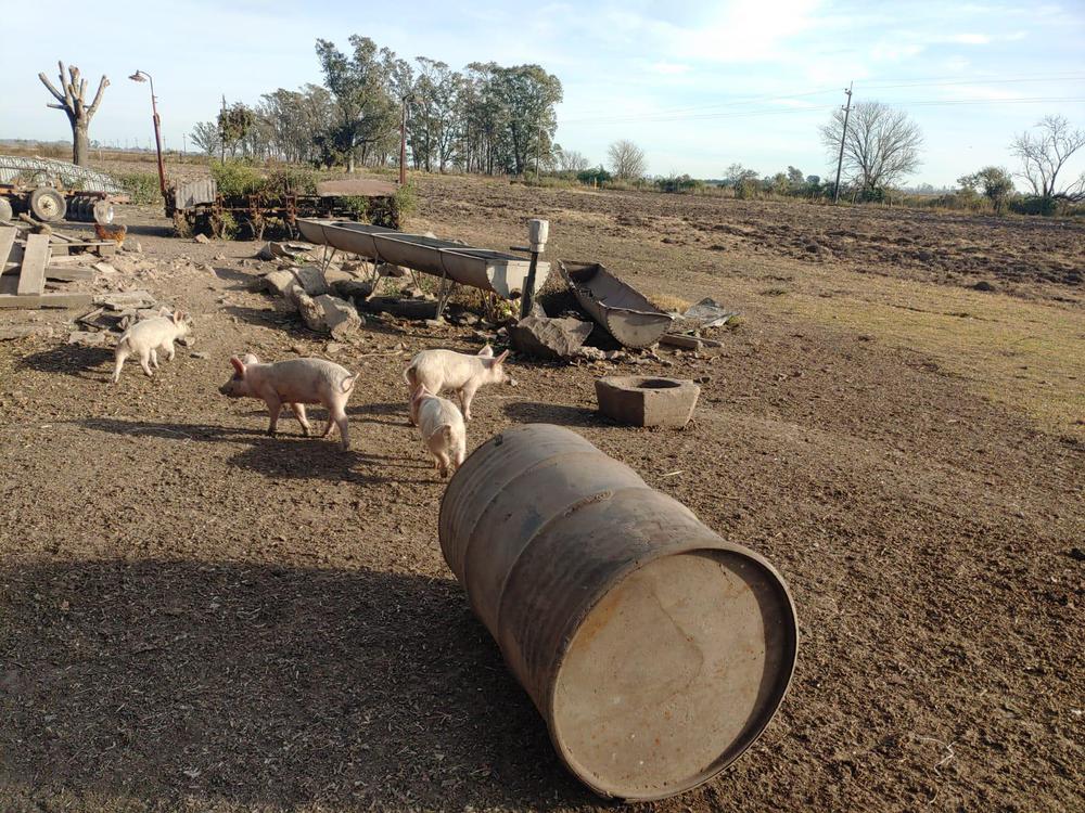 2022-07-21NID_275358O_1