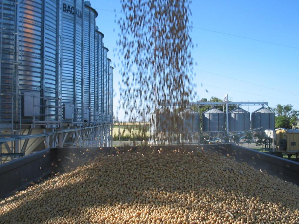 WhatsApp Image 2023-12-14 at 15.01.05