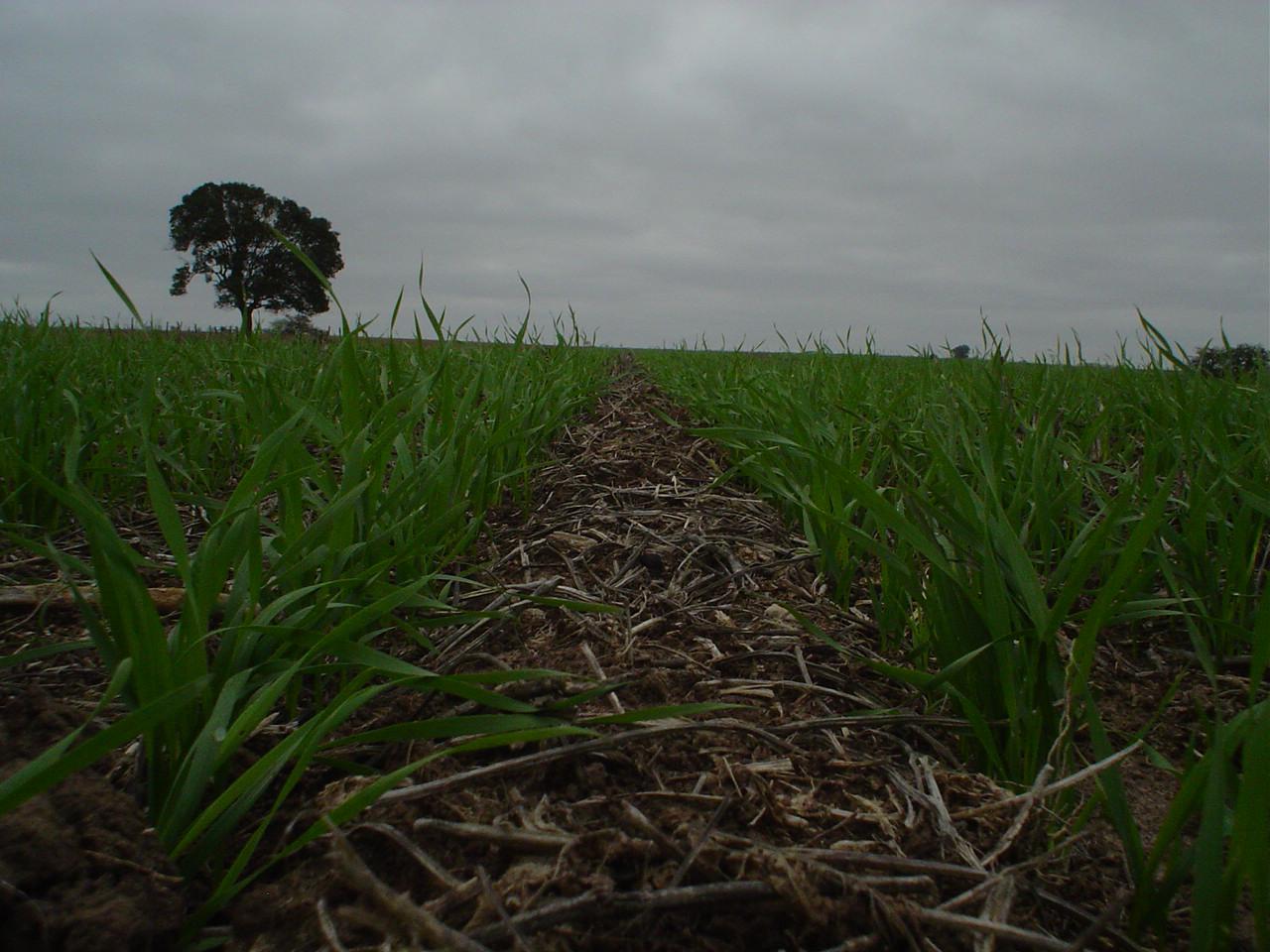 WhatsApp Image 2024-02-20 at 11.35.33