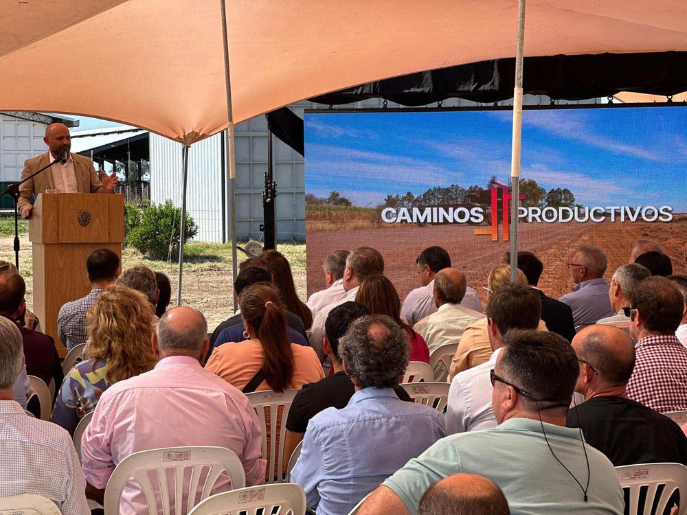 WhatsApp Image 2024-03-27 at 16.11.47