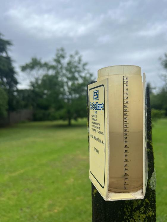 WhatsApp Image 2024-01-15 at 15.27.43