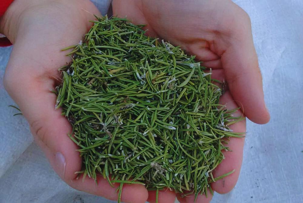 WhatsApp Image 2023-10-11 at 08.10.04