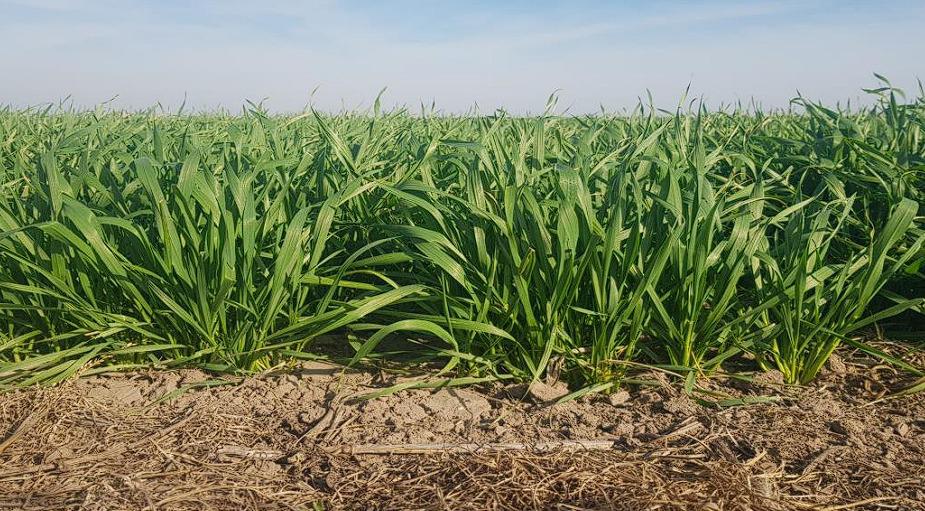 WhatsApp Image 2023-08-02 at 3.25.35 PM