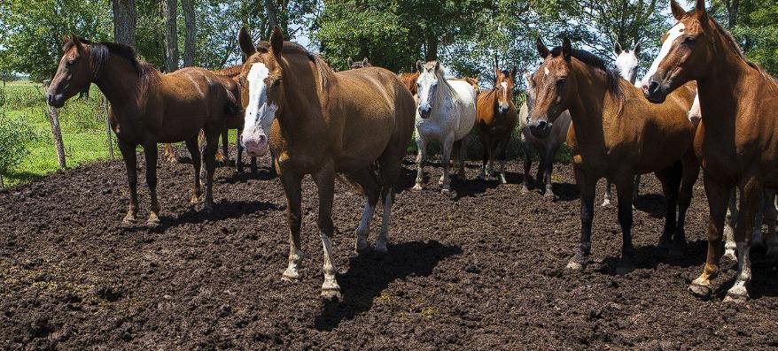 WhatsApp Image 2023-11-30 at 08.09.08