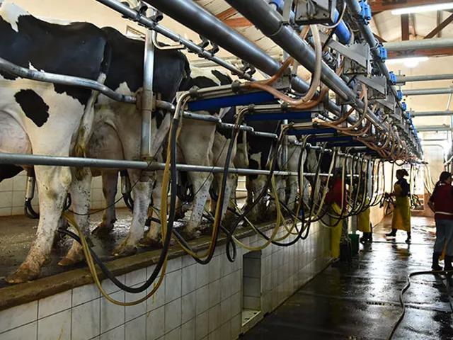 WhatsApp Image 2023-08-23 at 9.06.31 AM