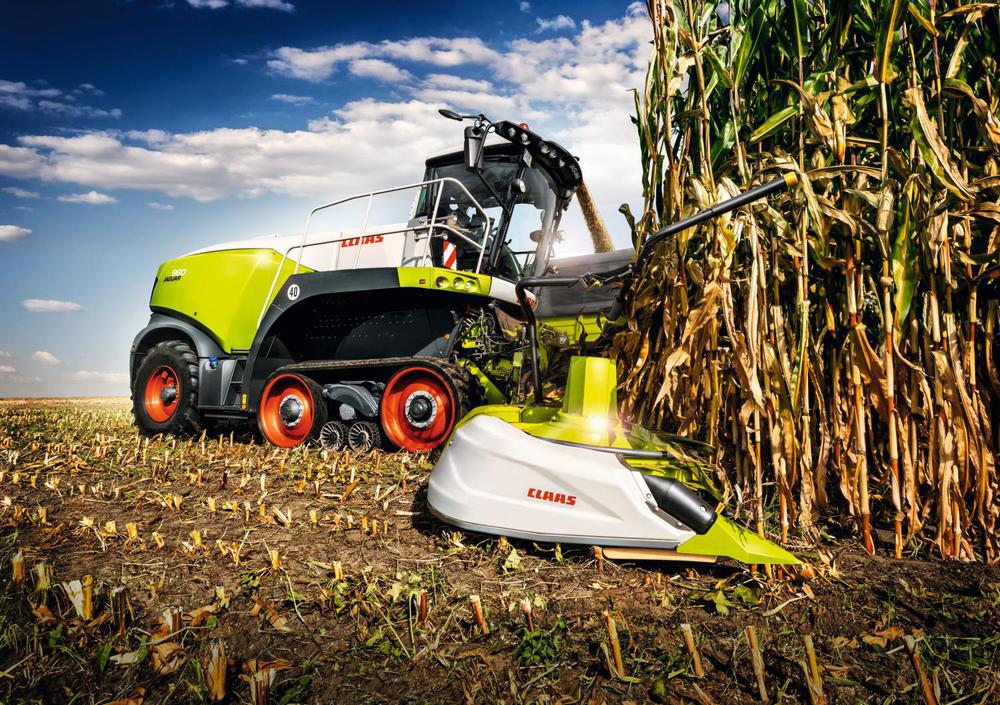 WhatsApp Image 2024-02-14 at 09.47.28