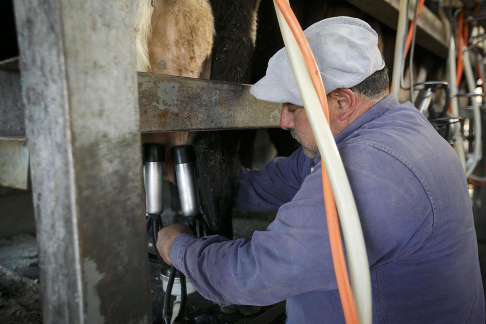 WhatsApp Image 2023-11-15 at 08.23.30