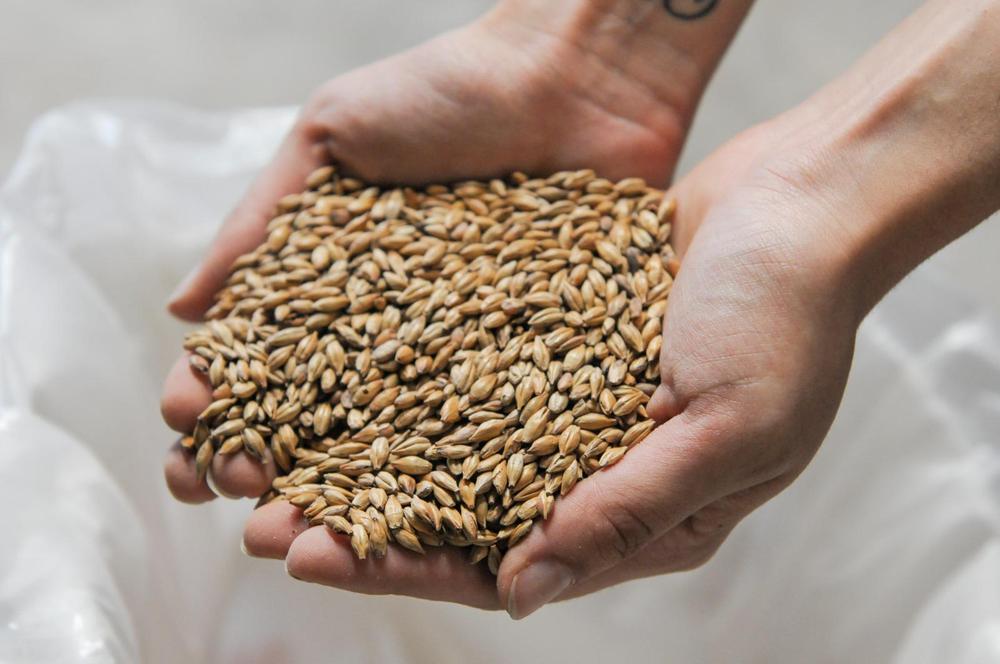 WhatsApp Image 2023-10-11 at 10.01.39