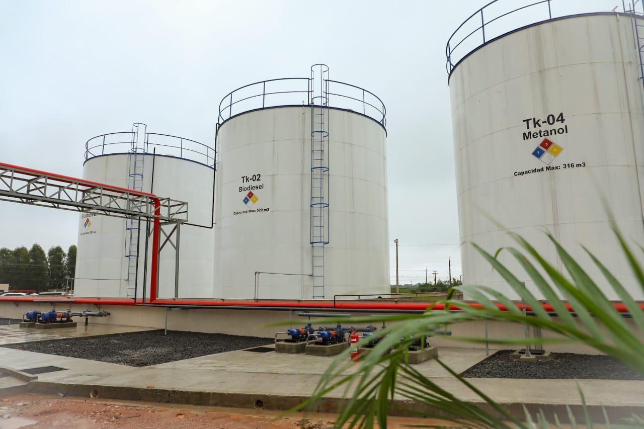 WhatsApp Image 2024-01-29 at 18.14.08