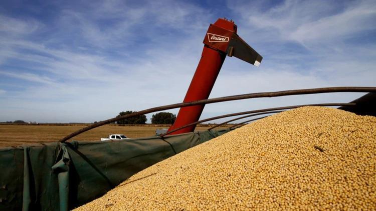 WhatsApp Image 2024-03-21 at 15.27.01