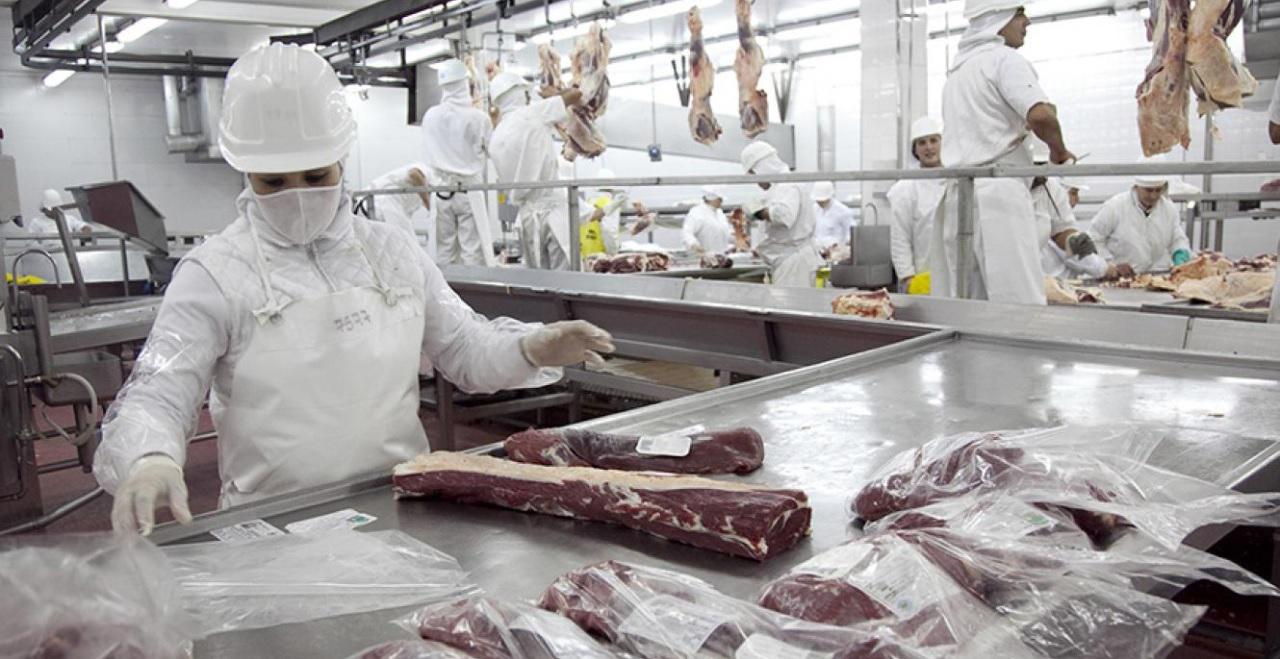 WhatsApp Image 2024-03-22 at 08.26.12