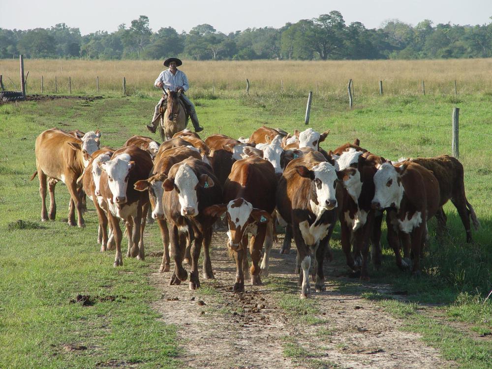 WhatsApp Image 2023-08-10 at 2.58.11 PM