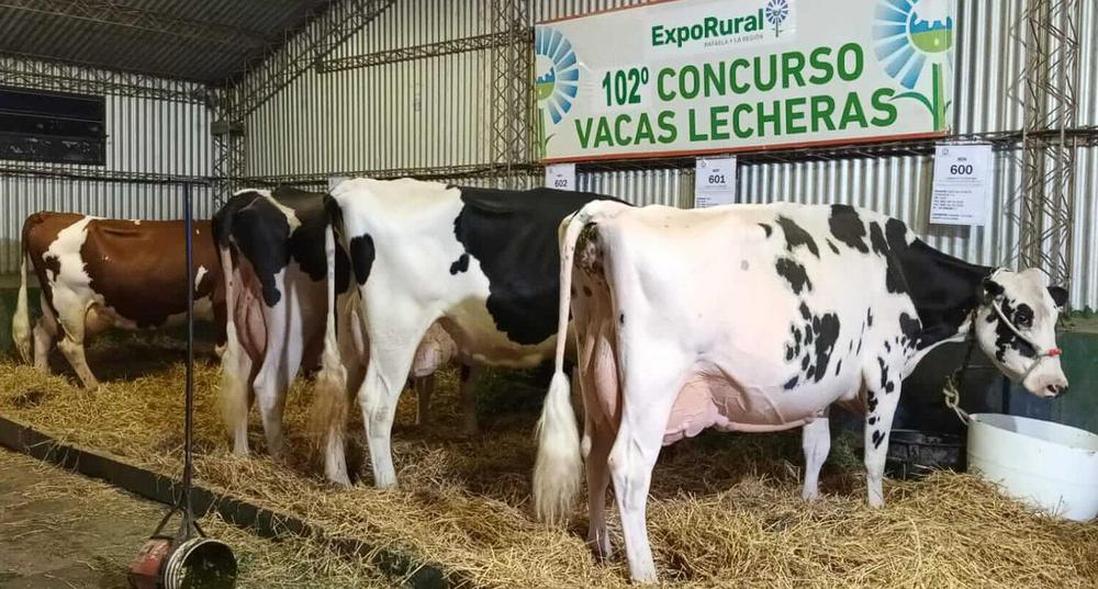 WhatsApp Image 2023-09-20 at 10.39.21 AM