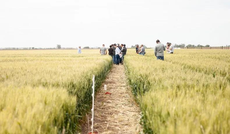 WhatsApp Image 2023-11-14 at 08.43.45