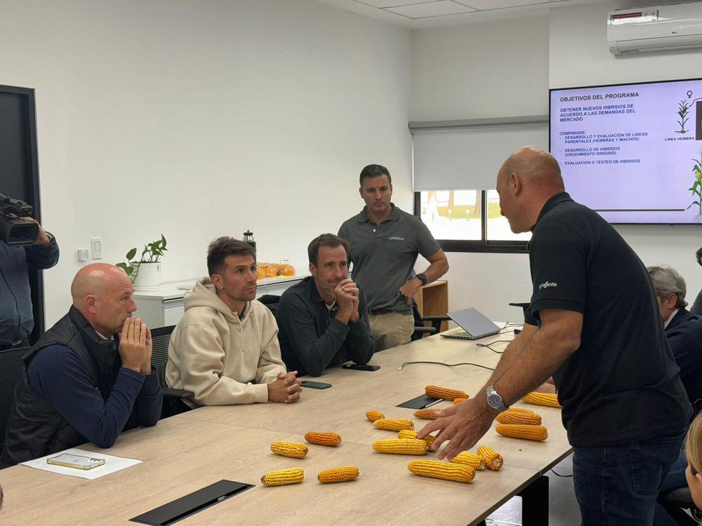 WhatsApp Image 2024-05-13 at 17.16.19