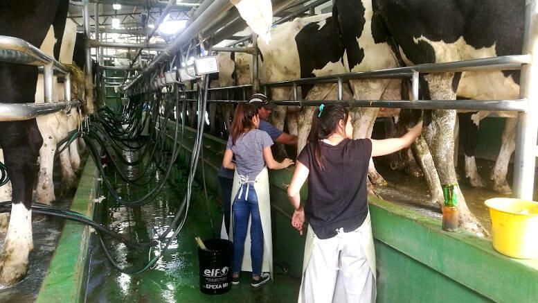 WhatsApp Image 2023-09-25 at 3.20.48 PM