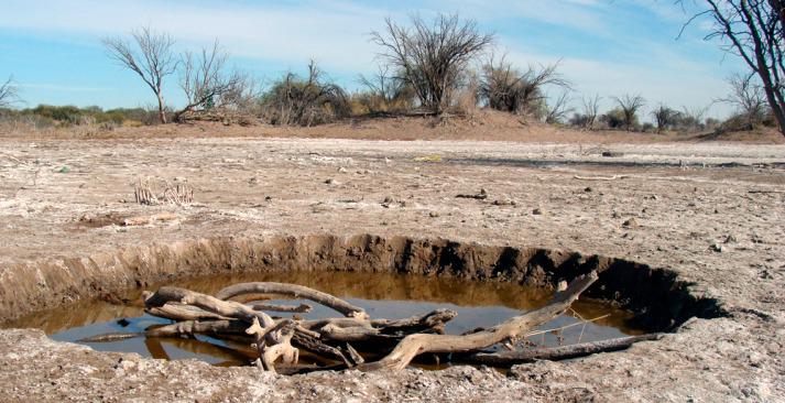 WhatsApp Image 2023-09-08 at 9.26.37 AM