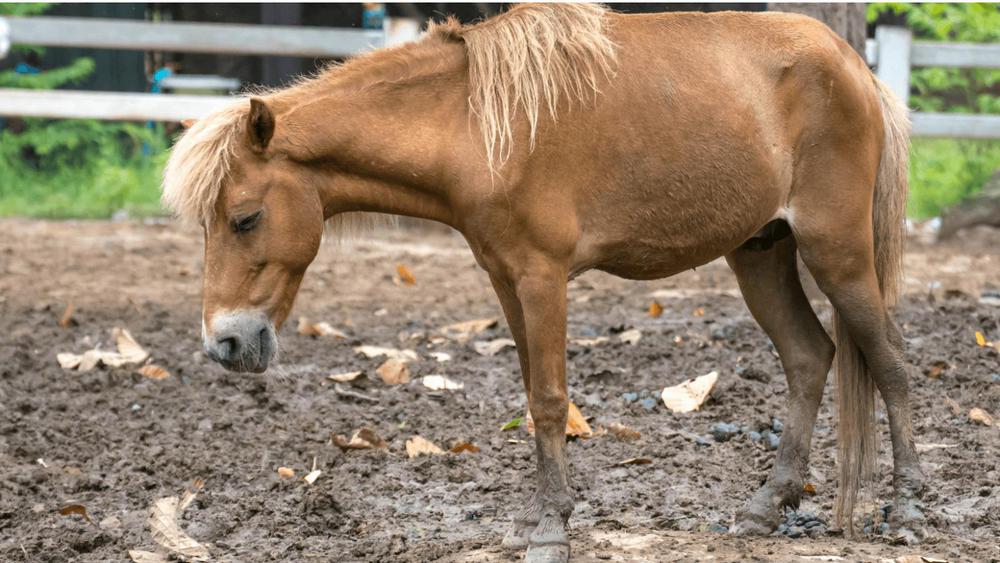 WhatsApp Image 2023-11-29 at 11.38.32