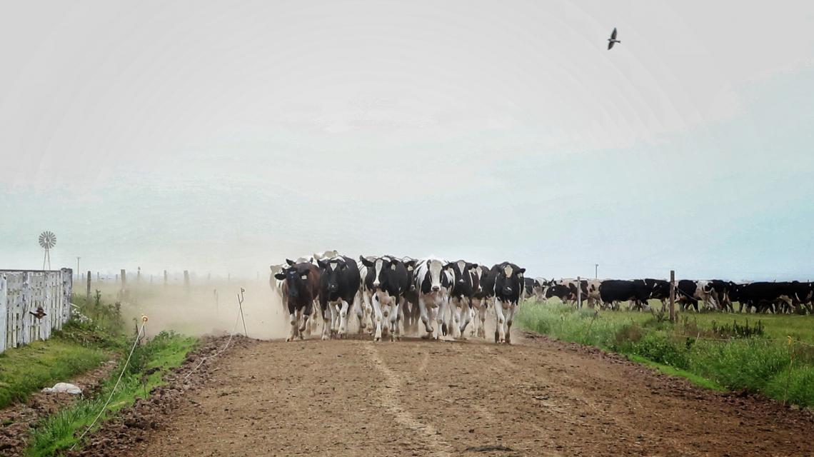 WhatsApp Image 2023-09-25 at 8.55.20 AM