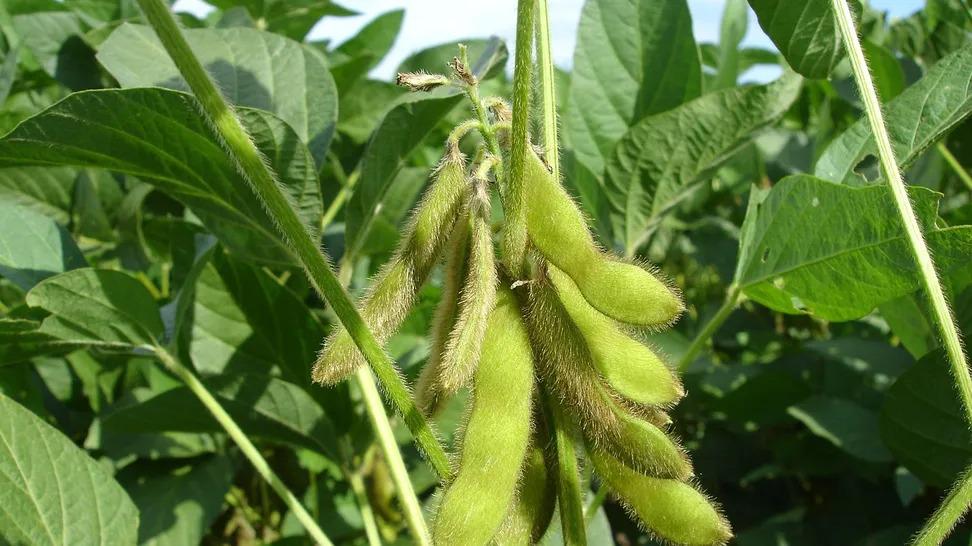 WhatsApp Image 2023-08-02 at 8.36.07 AM