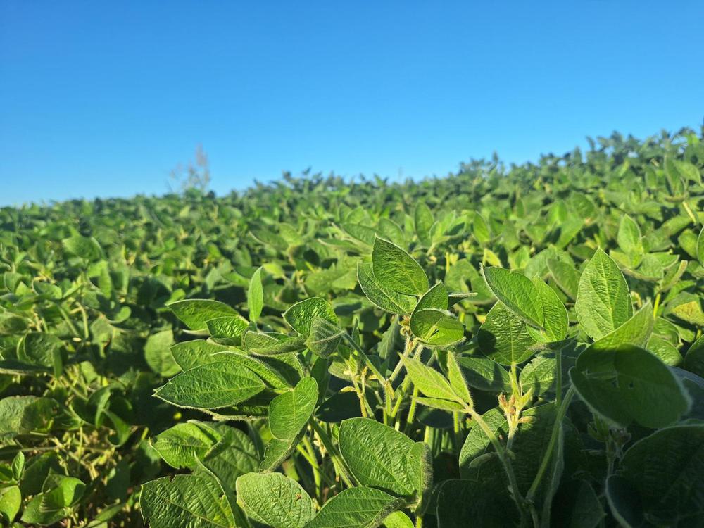 WhatsApp Image 2024-04-10 at 15.28.19