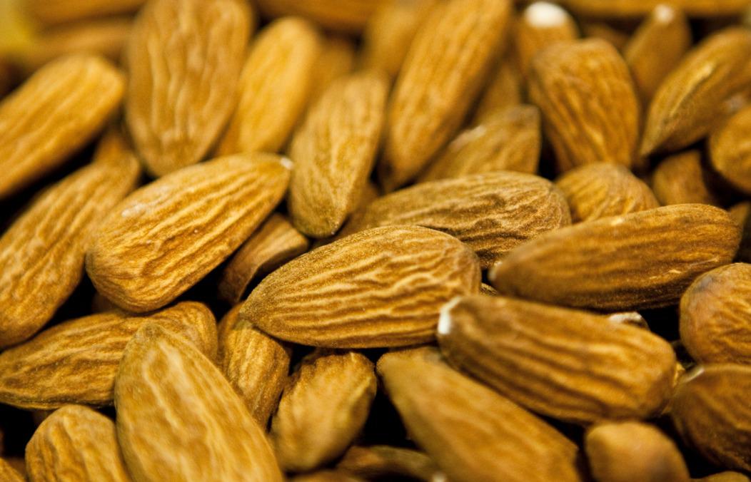 WhatsApp Image 2024-01-08 at 07.46.27