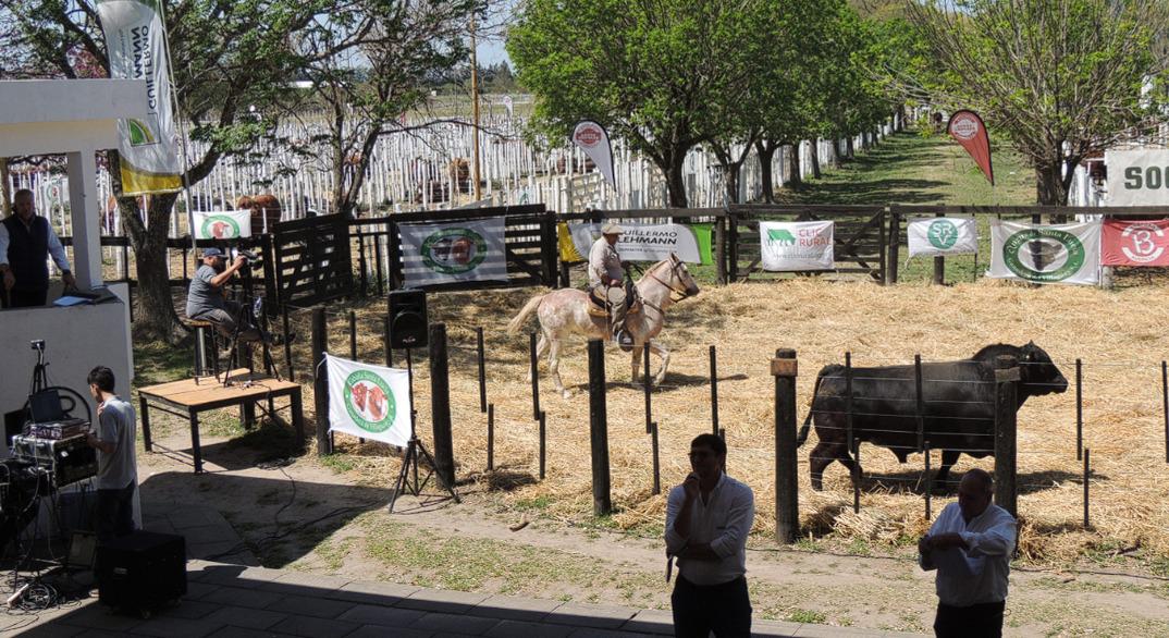 WhatsApp Image 2023-09-29 at 8.00.10 AM