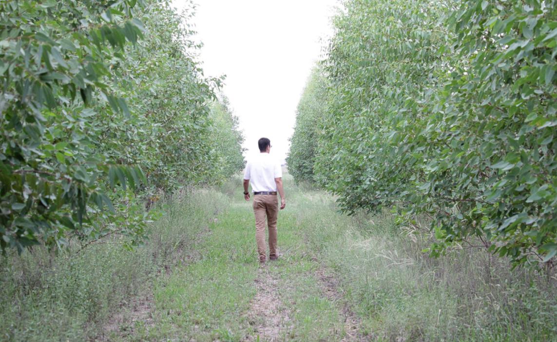 WhatsApp Image 2023-11-09 at 09.34.04