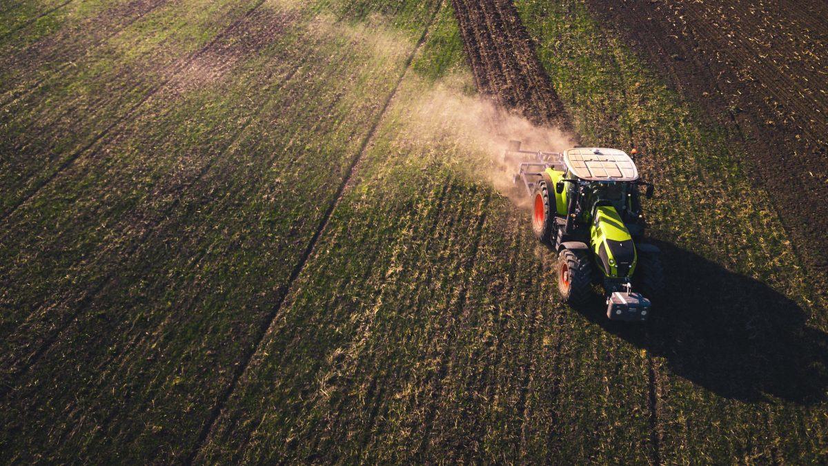 WhatsApp Image 2023-08-14 at 2.55.29 PM