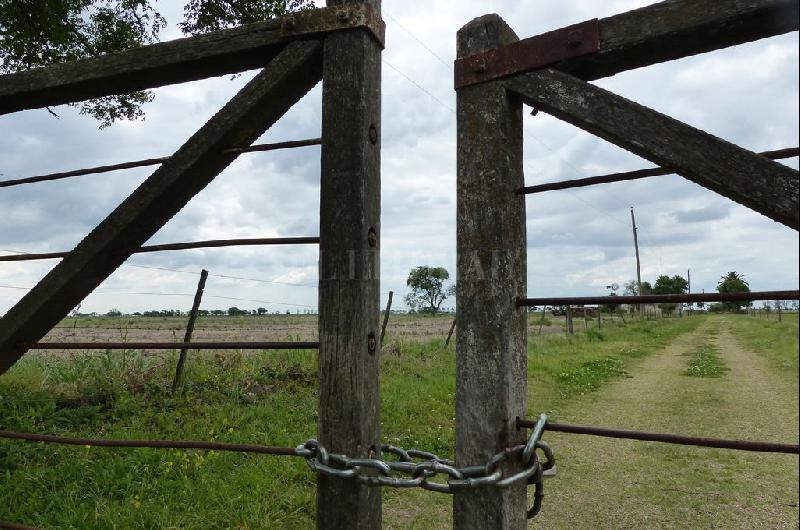 WhatsApp Image 2024-02-19 at 08.39.08