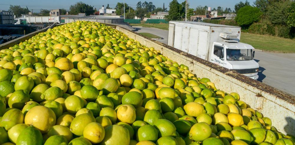 WhatsApp Image 2024-03-11 at 07.56.33