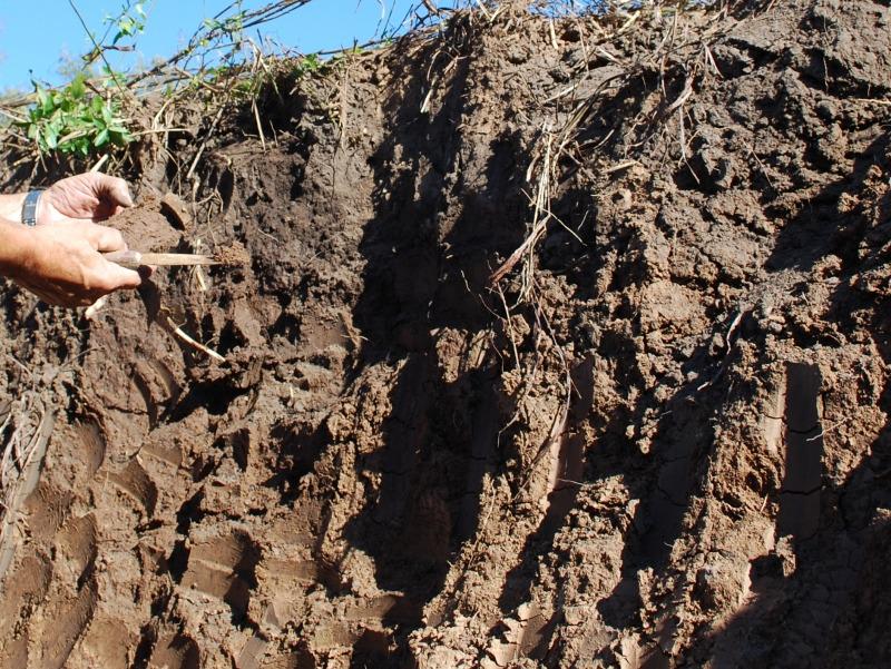 WhatsApp Image 2024-03-28 at 10.27.07