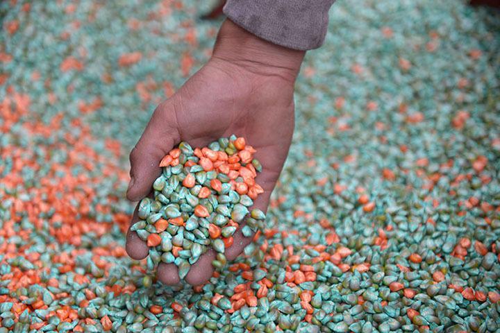 WhatsApp Image 2024-04-11 at 08.26.47