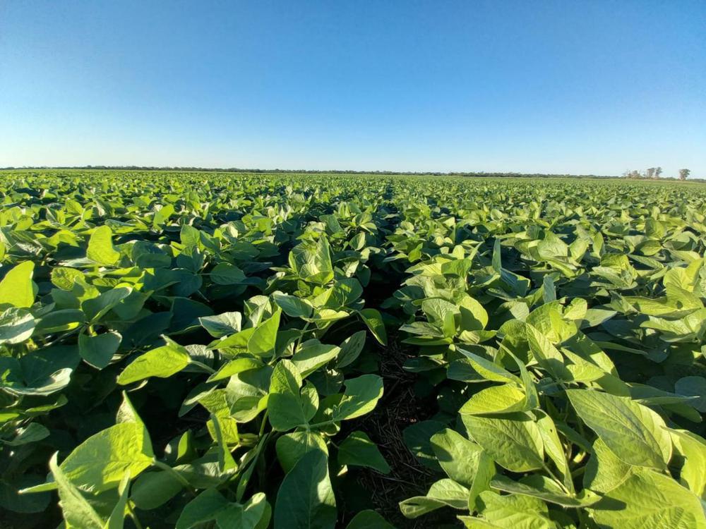 WhatsApp Image 2023-11-08 at 11.20.38