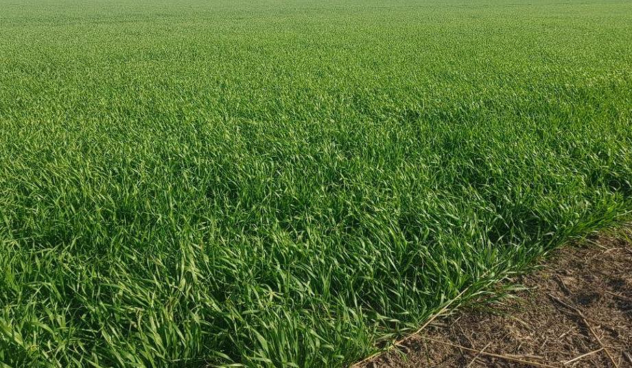 WhatsApp Image 2023-08-04 at 1.35.48 PM