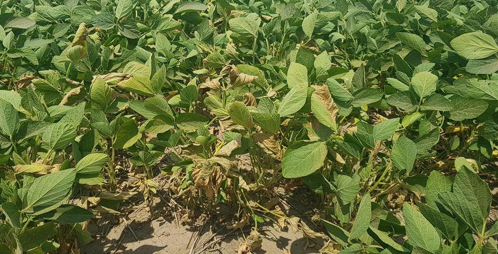 WhatsApp Image 2024-02-08 at 07.54.04